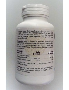 Cúrcuma 95 90 cáps 2